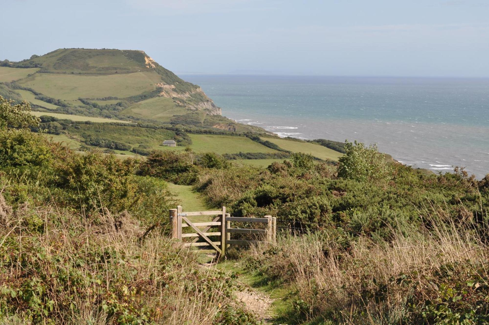 The Retreat, Own Hot Tub, Romantic Escape, Near Lyme Regis Kültér fotó